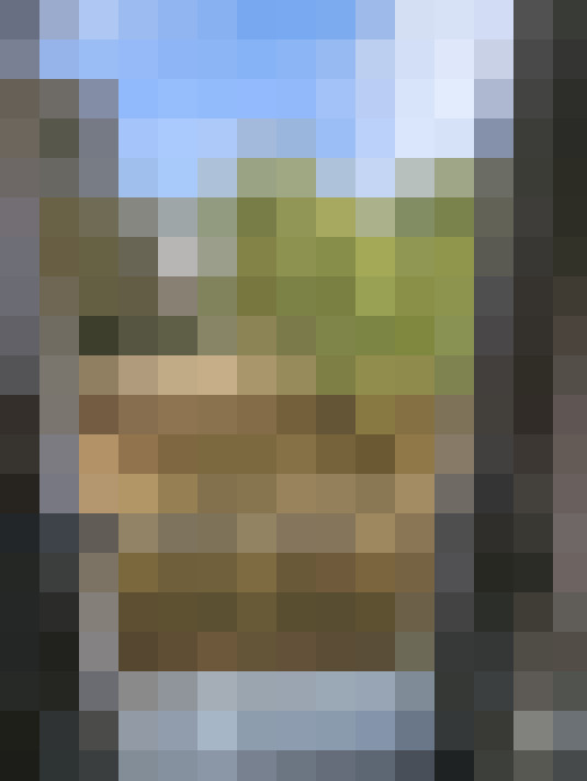  / #11