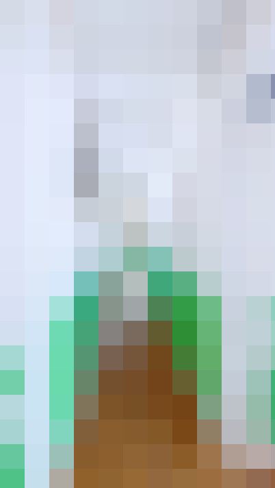  / #11