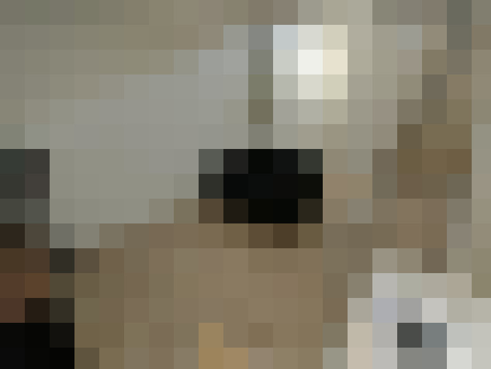  / #15