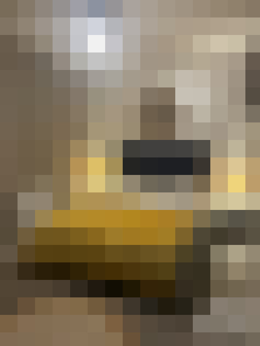  / #11