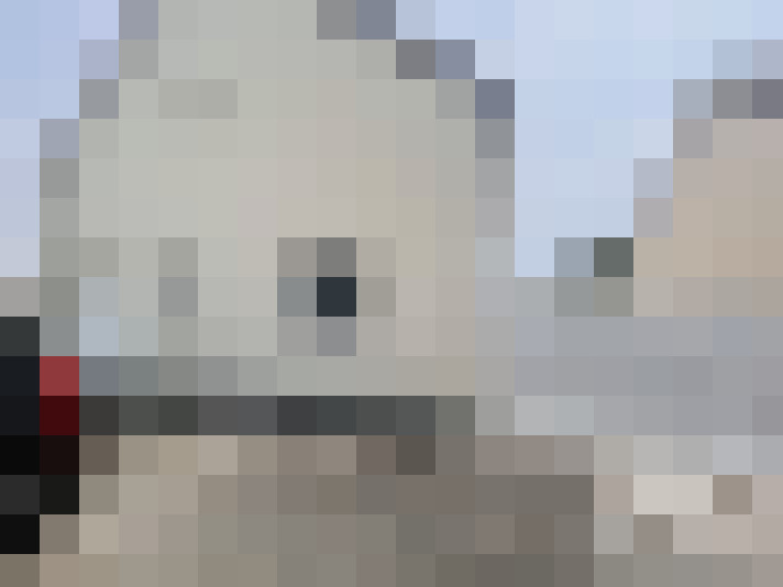 / #20