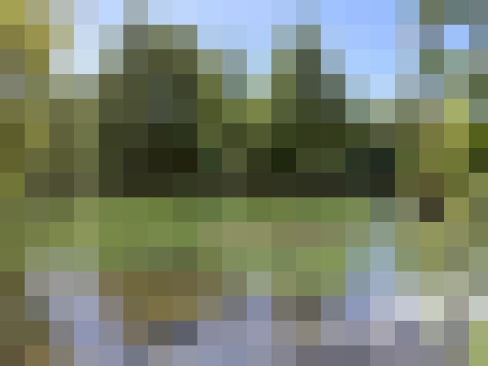  / #15