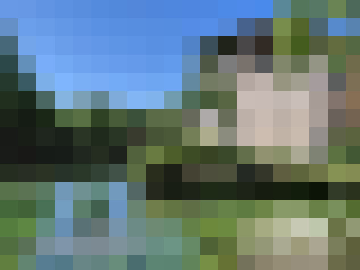  / #14