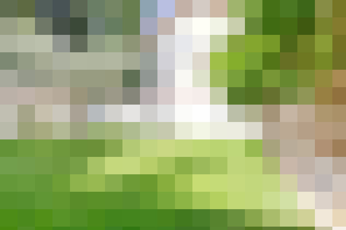  / #19
