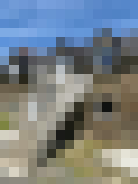  / #15
