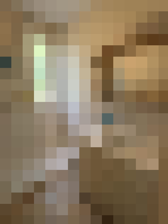  / #12