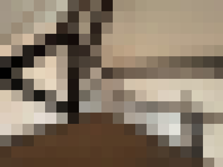  / #14