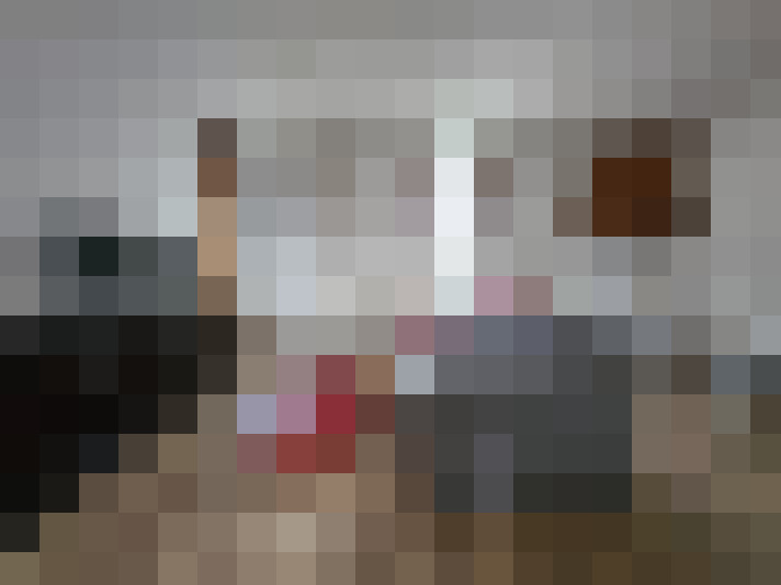  / #8