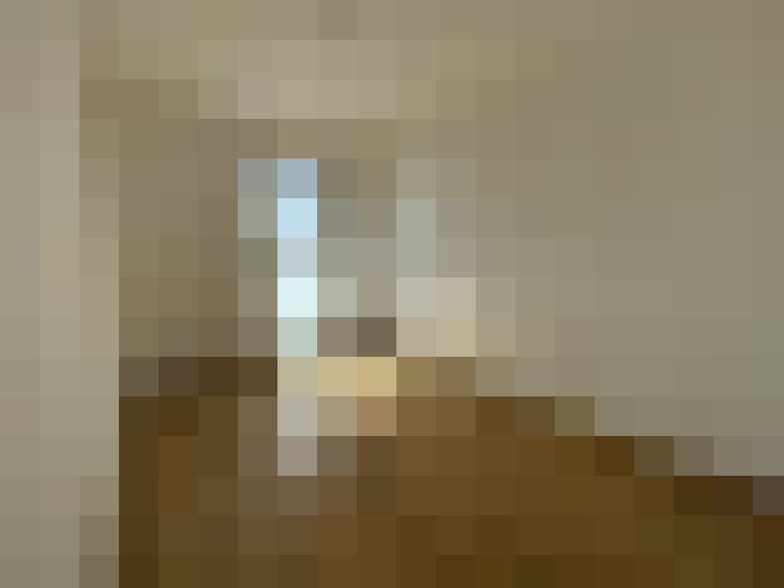  / #8