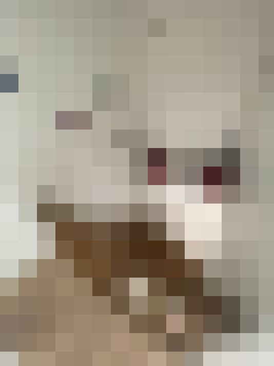  / #7