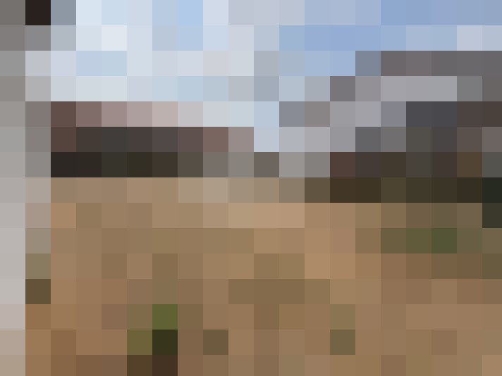  / #14