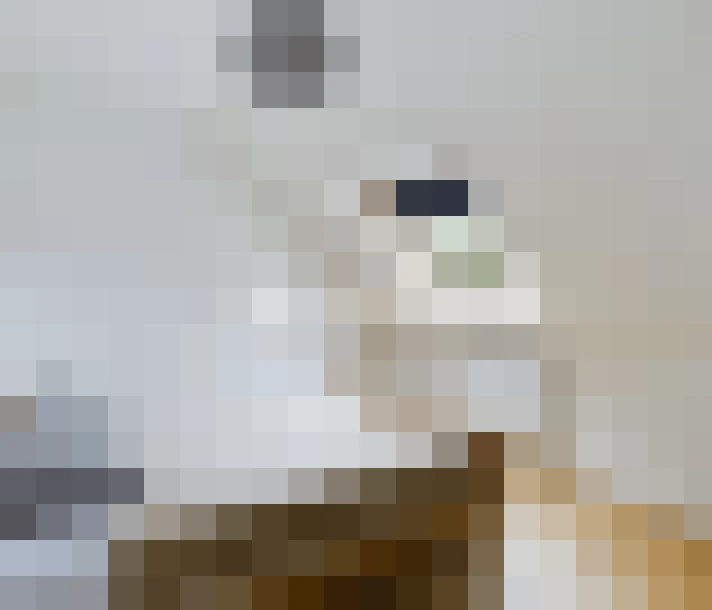 / #8