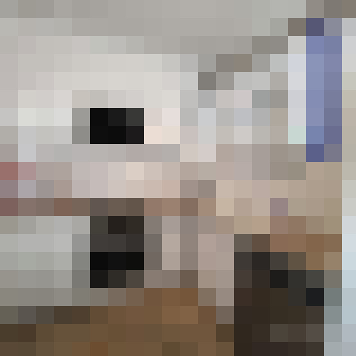  / #15