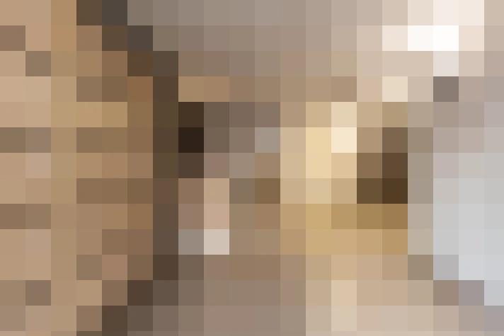  / #6