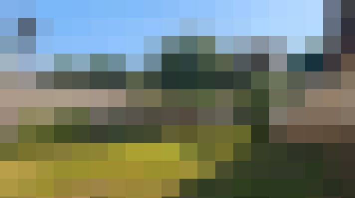  / #19