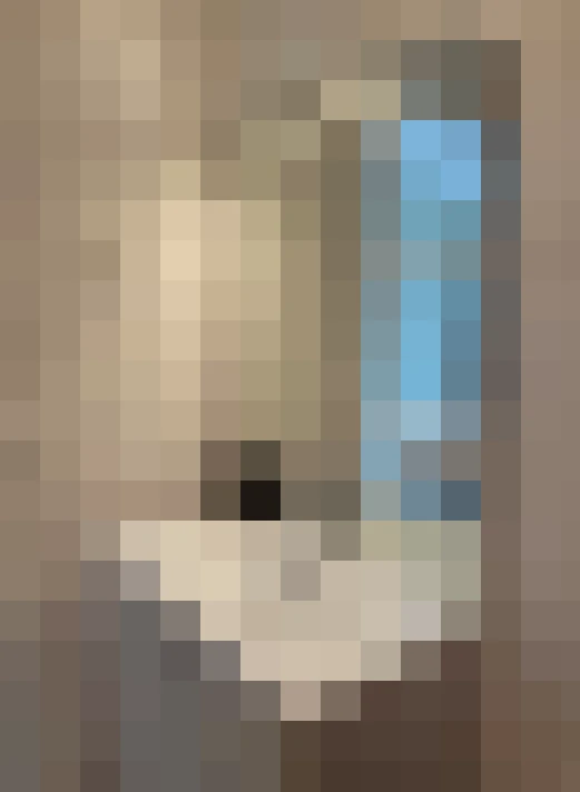  / #8