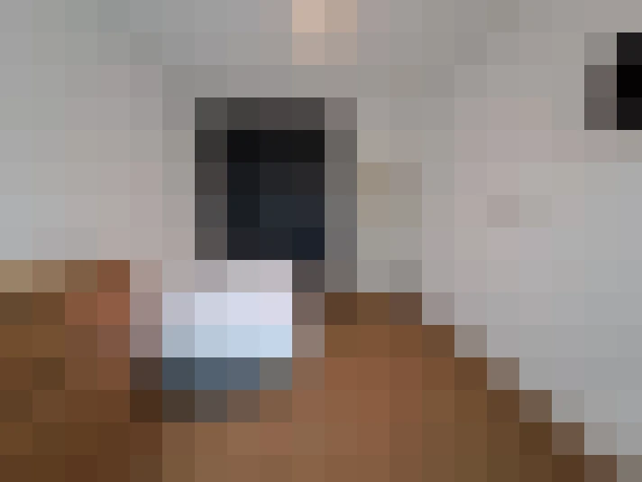  / #12