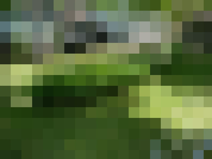 / #16