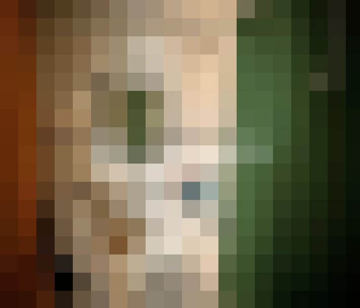  / #8