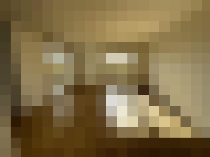  / #6