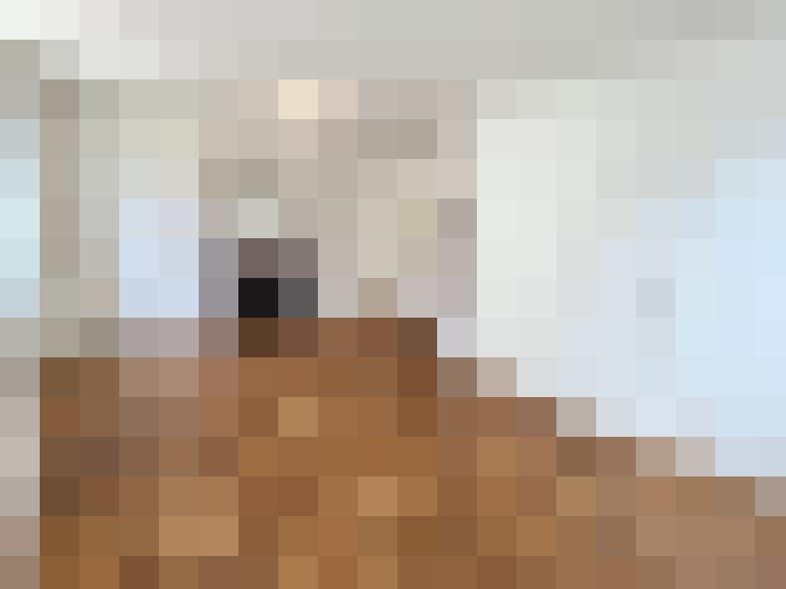  / #8