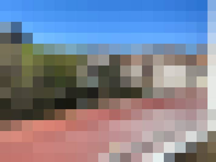  / #15