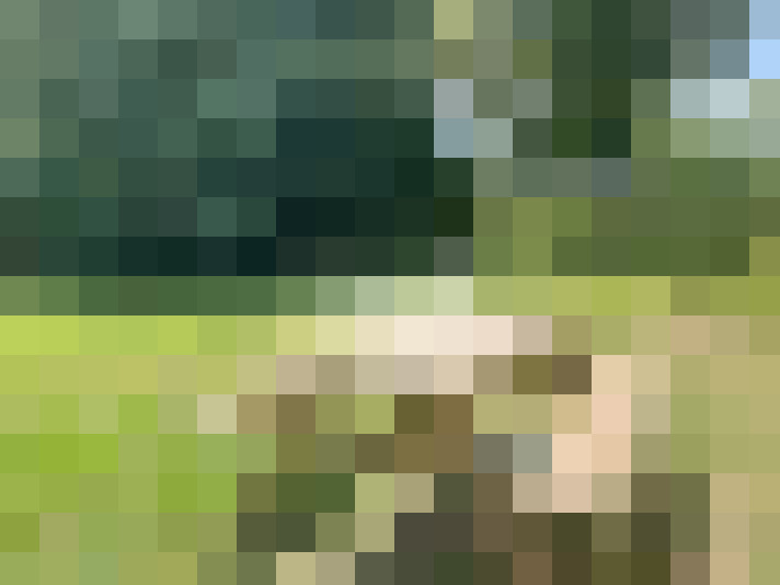  / #13