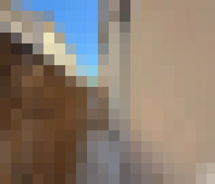  / #9