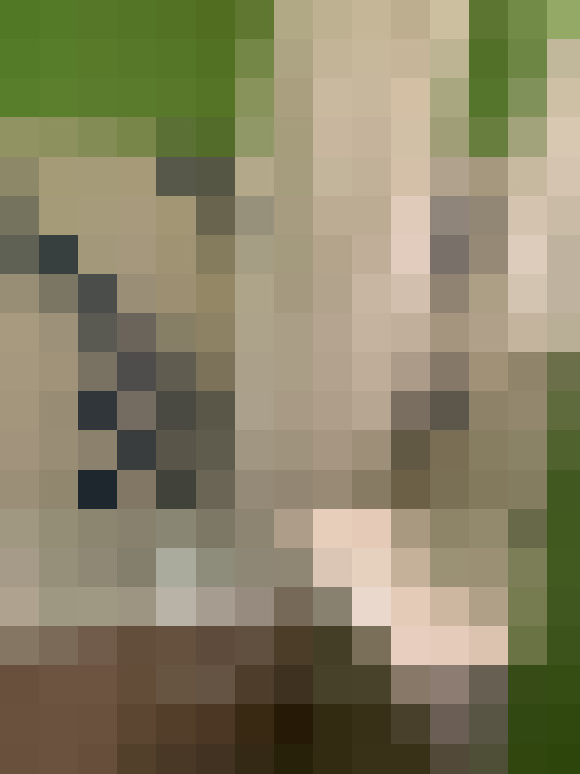  / #9