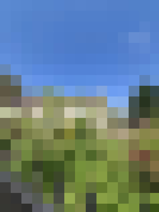  / #16