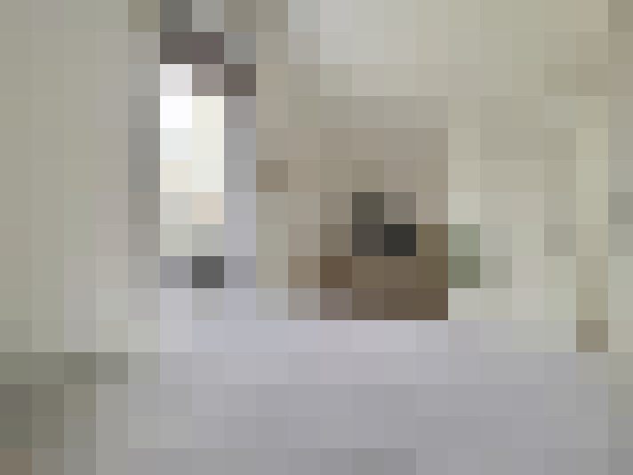  / #19