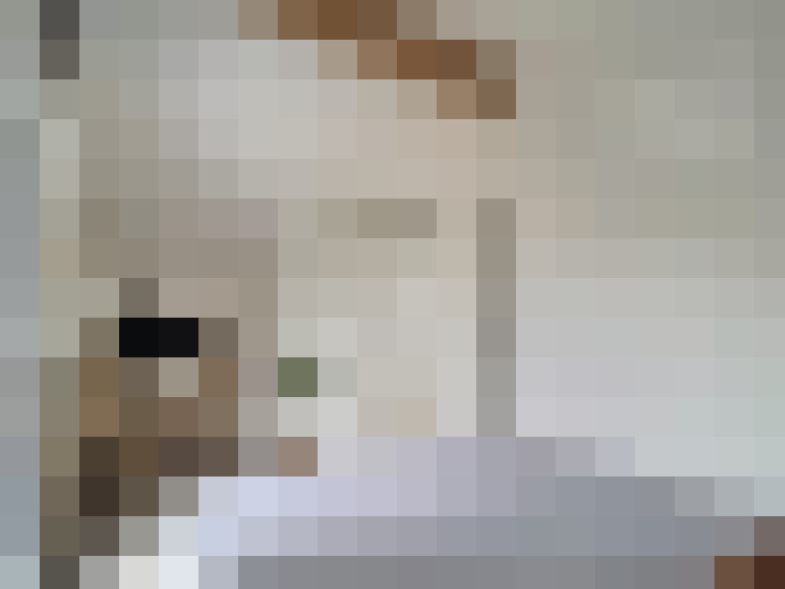  / #18