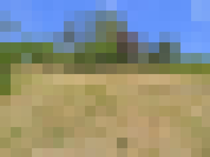  / #11
