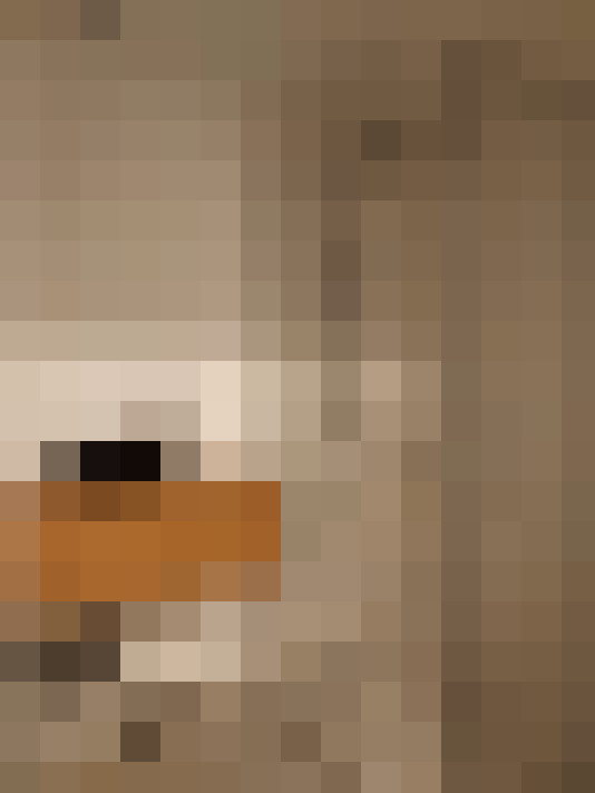  / #8