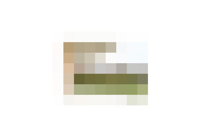  / #17