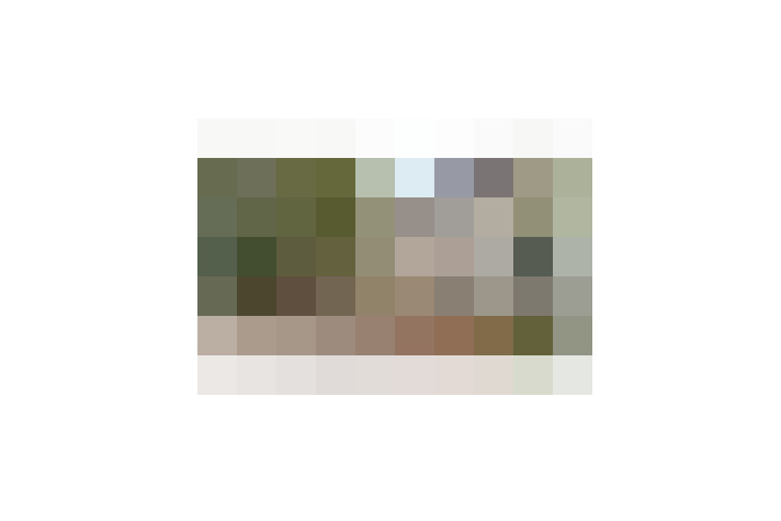  / #14