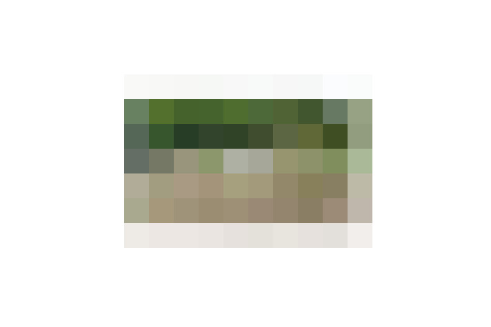  / #12