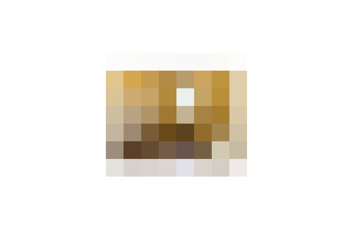  / #6