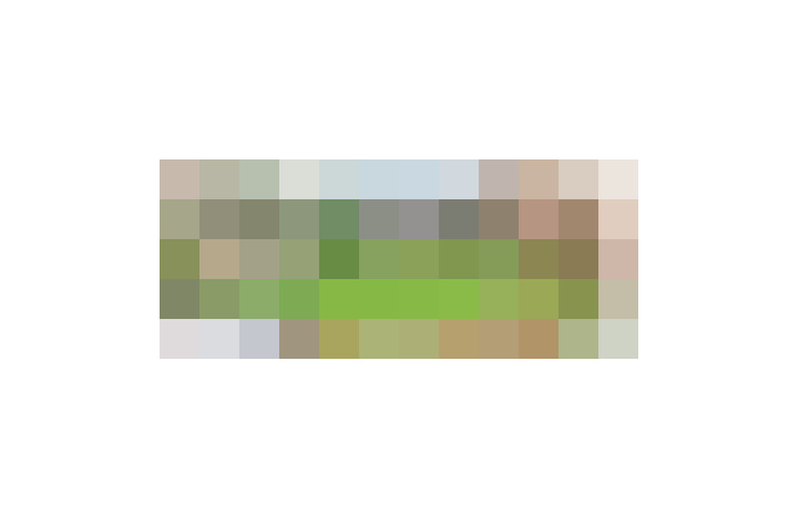  / #7