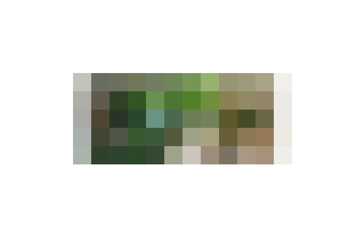  / #8
