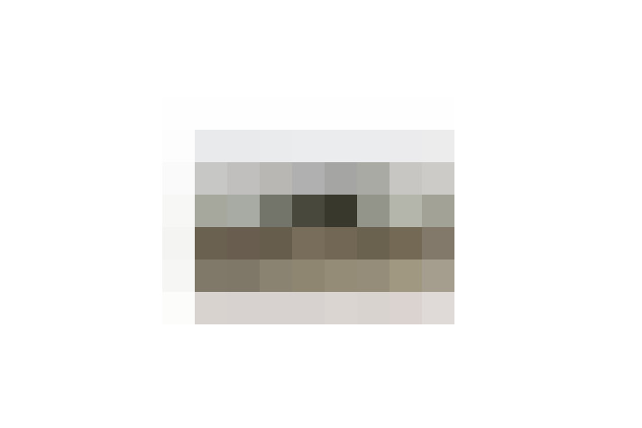  / #19