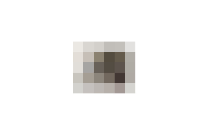  / #20