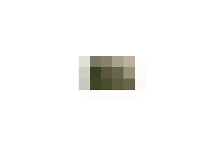  / #12