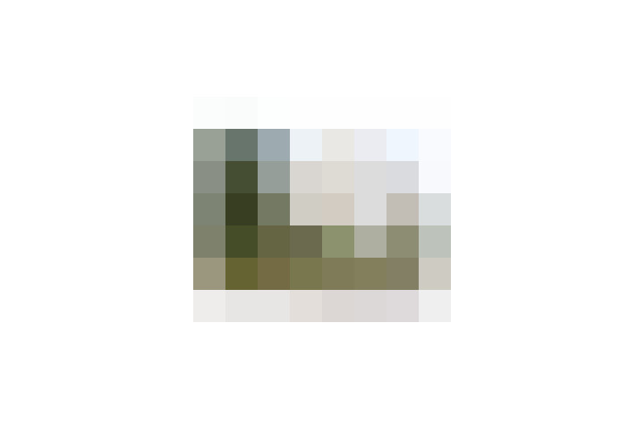  / #7