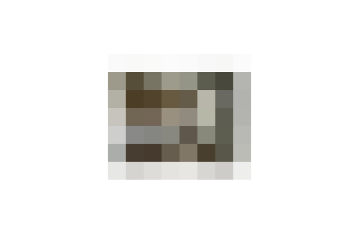  / #16