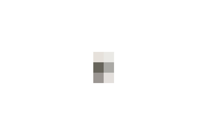  / #8