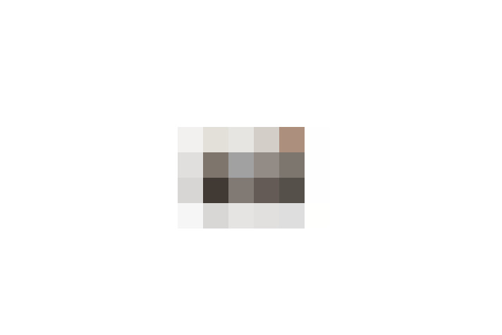  / #19