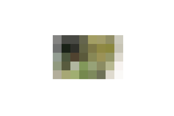  / #15