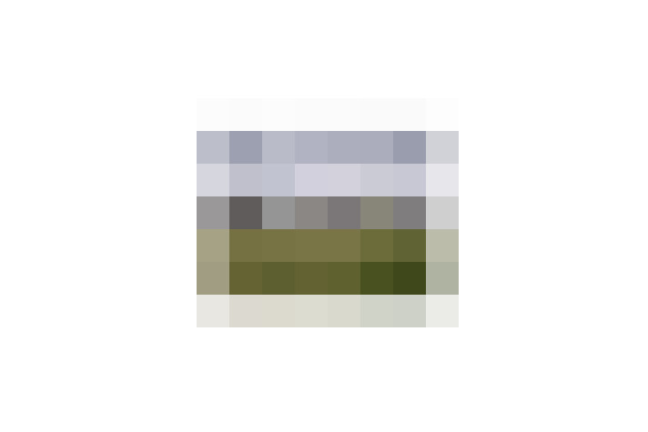  / #7