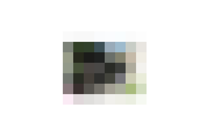  / #7